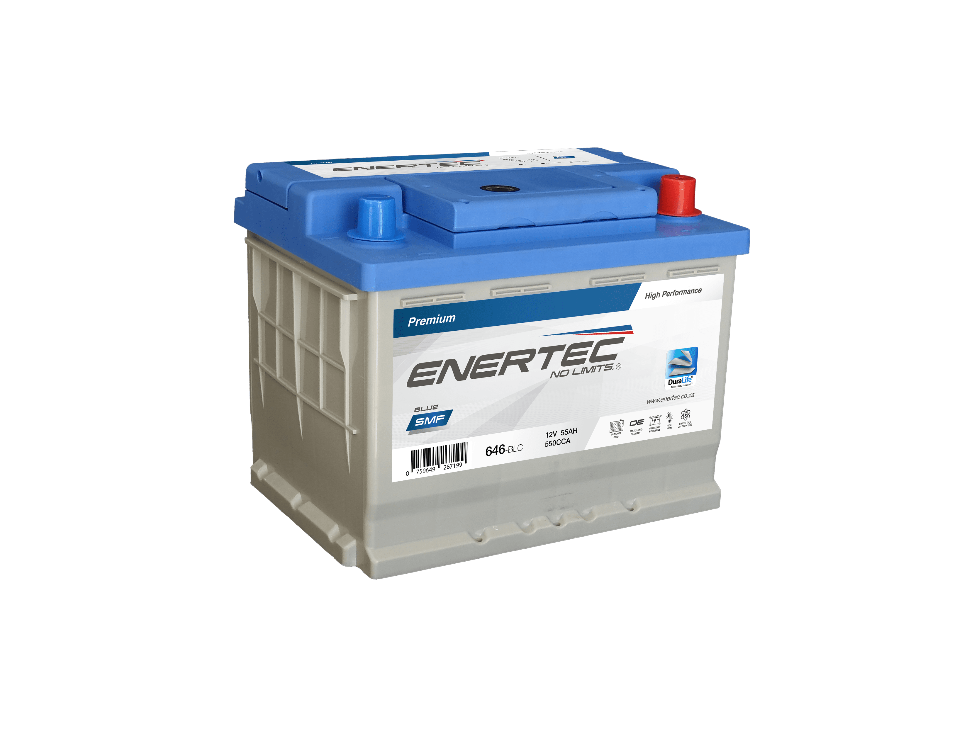 646-BLC 12V 55Ah Enertec Blue Lead Calcium Automotive Battery